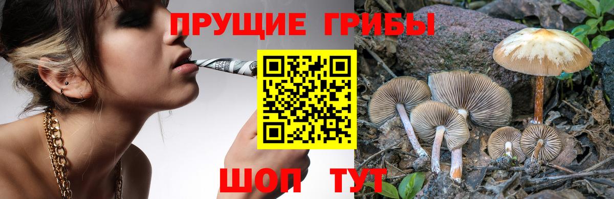Псилоцибиновые грибы Cubensis  Вход с VPN  Зерноград  Галлюциногенные грибы Psilocybe 